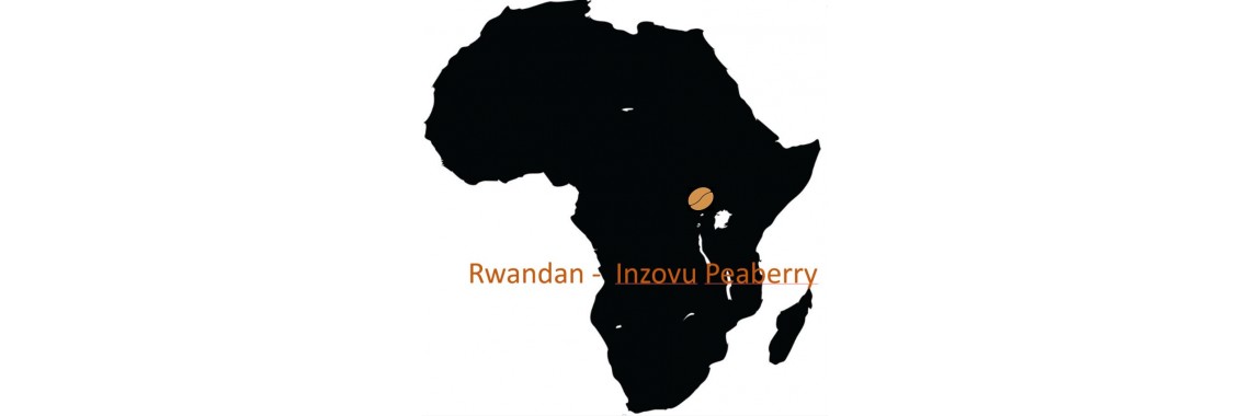 Rwandan Inzovu Peaberry